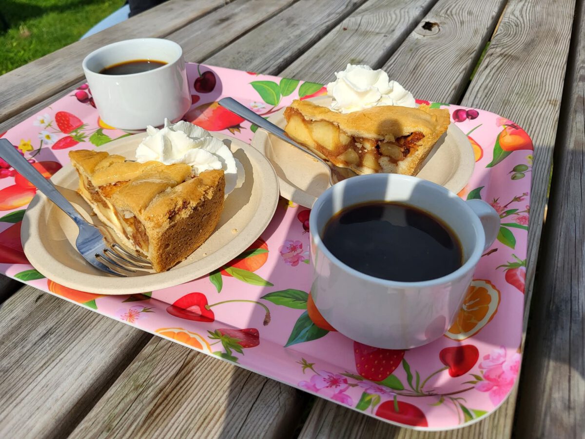 Koffie Appeltaart met Slagroom op het terras bij DEK Blauwestad Oldambtmeer Groningen Nederland