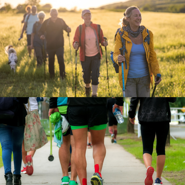 Wandeling 3.5 uur Oldambtmeer, Blauwestad met gids. Vetrek 10:00uur